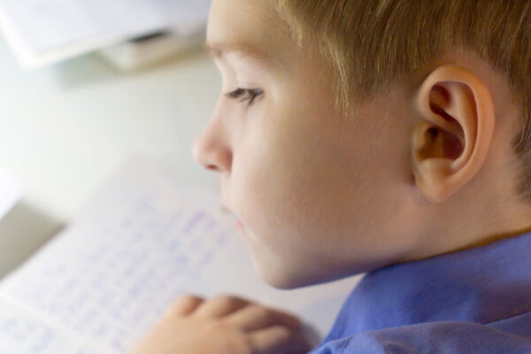 Spelling 2: Spelling Strategies - Phonological Knowledge (120 Minutes)